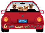 Brussels Griffon thumbnail