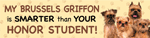 Brussels Griffon/Honor Student thumbnail