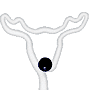Reindeer (SP) thumbnail