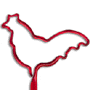 Rooster thumbnail