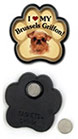 Brussels Griffon thumbnail