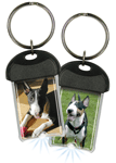Bull Terrier thumbnail