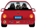 Bouvier thumbnail