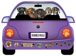 Doxies Rule! thumbnail