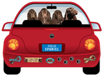 Field Spaniel thumbnail