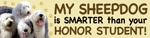 Sheepdog/Honor Student thumbnail