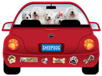 Old English Sheepdog thumbnail