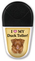 Duck Toller thumbnail