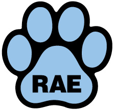 Rally - RAE thumbnail