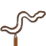 Snake 1 thumbnail