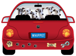 Whippet thumbnail