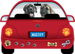 Mastiff thumbnail