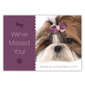 We've Missed You! thumbnail