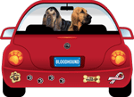 Bloodhound thumbnail