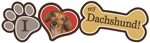 Dachshund thumbnail