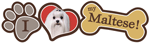 Maltese thumbnail