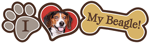 Beagle thumbnail