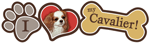 Cavalier thumbnail