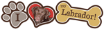 Labrador (Chocolate) thumbnail