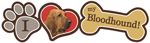 Bloodhound thumbnail