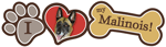 Belgian Malinois thumbnail