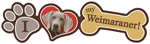 Weimaraner thumbnail