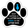 What happens in the litter box... thumbnail