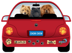 Chow Chow thumbnail