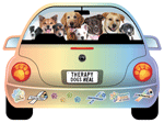 Therapy Dogs thumbnail