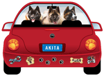 Akita thumbnail