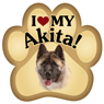 Akita thumbnail