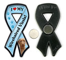 Wirehaired Vizsla thumbnail