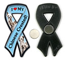 Chinese Crested thumbnail