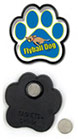 Flyball Dog thumbnail