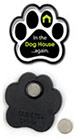 In the Dog House...again thumbnail
