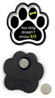 Your dog doesn't know SIT. thumbnail