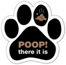 Poop! there it is thumbnail