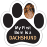 My First Born is a DACHSHUND thumbnail