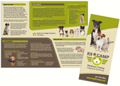 Dog Camp thumbnail