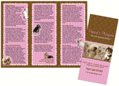Pink/Brown thumbnail