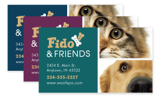 Close Up Pets thumbnail