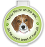Mirror Mirror... Beagle thumbnail