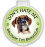 Don't Hate Me...Boxer thumbnail
