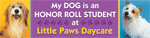 Honor Roll Bumper thumbnail