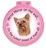Mirror Mirror... Yorkie thumbnail