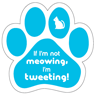 Meowing... Tweeting thumbnail