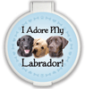 Labrador thumbnail