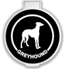 Greyhound thumbnail