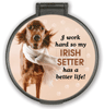 Irish Setter thumbnail