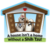Shih Tzu thumbnail